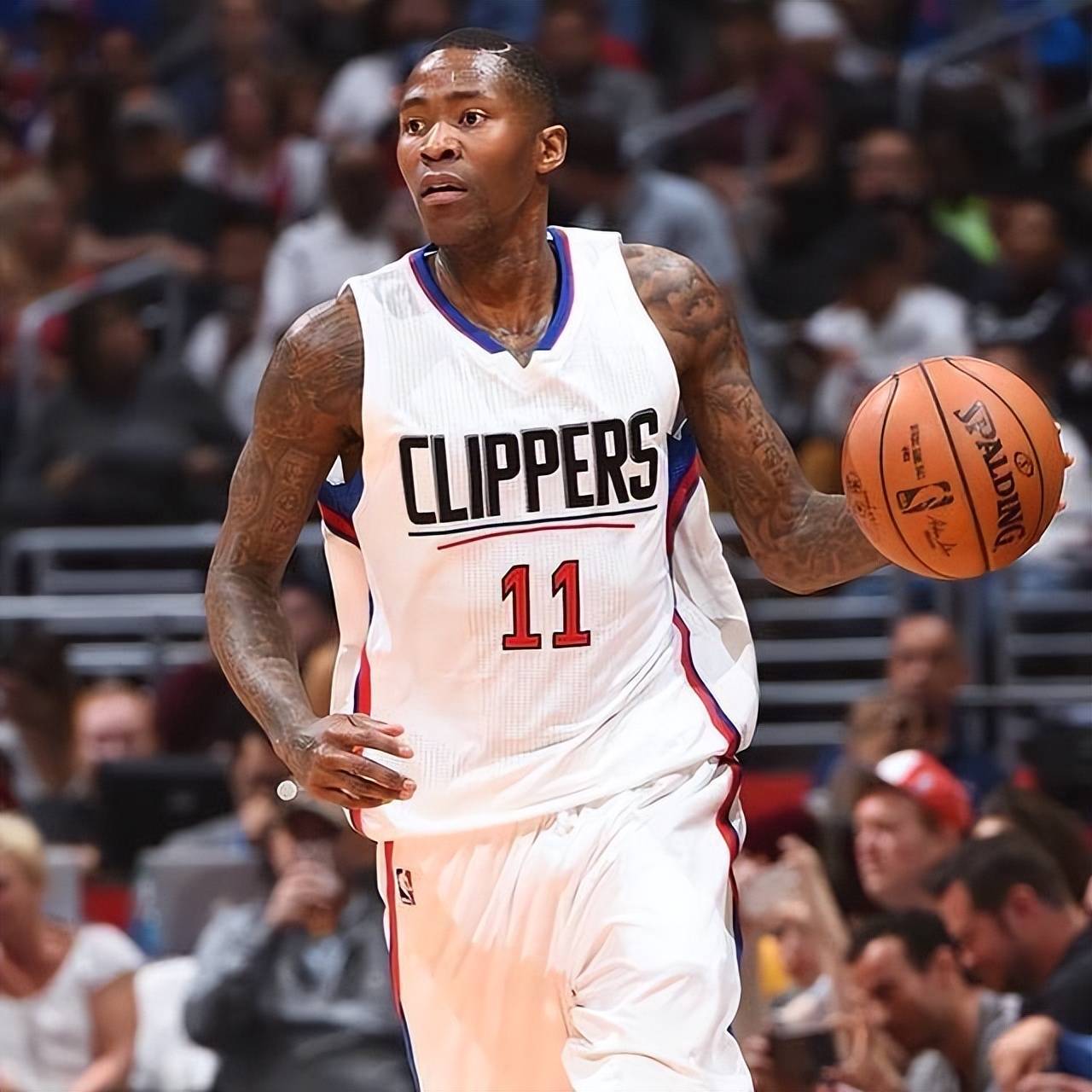 的成长之路 的成长之路